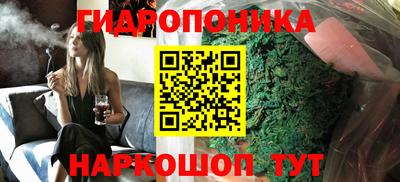 сатива Канаш